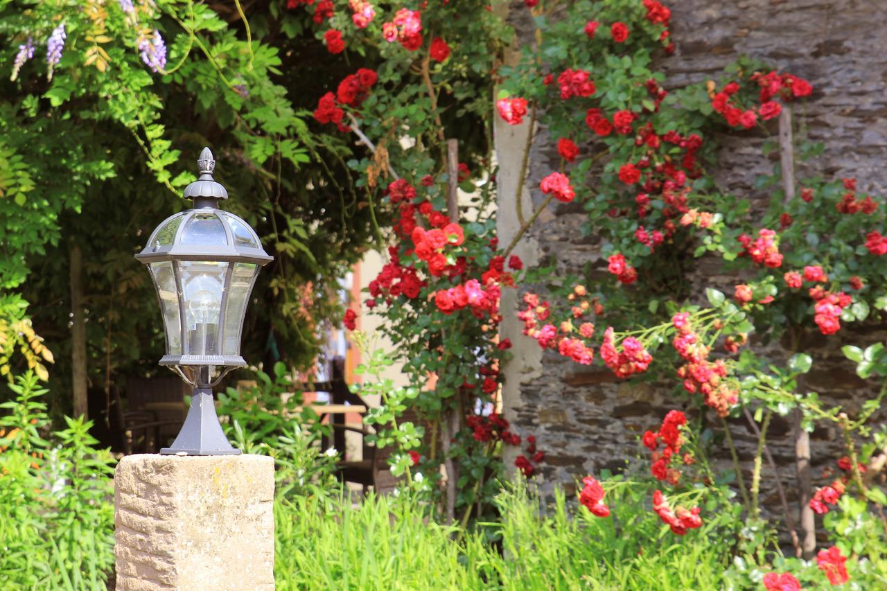 Pension Martinerhof Винтрих Экстерьер фото